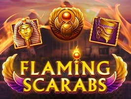 Flaming Scarabs screenshot